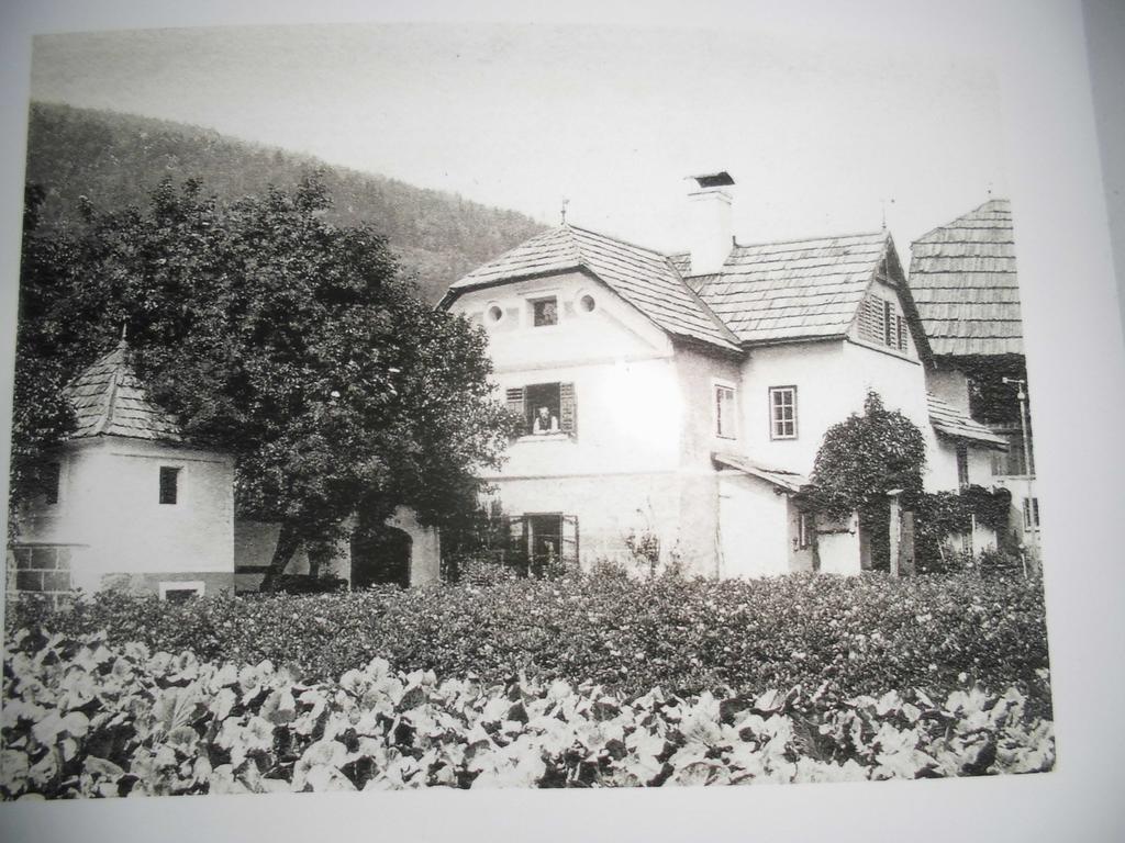 Pension & Ferienwohnung Dullnig Gmünd Esterno foto
